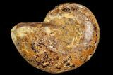 Sliced, Agatized Ammonite Fossil (half) - Jurassic #110737-1